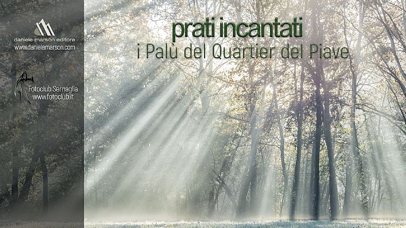 prati incantati di Ali e Radici Multivisioni prati incantati